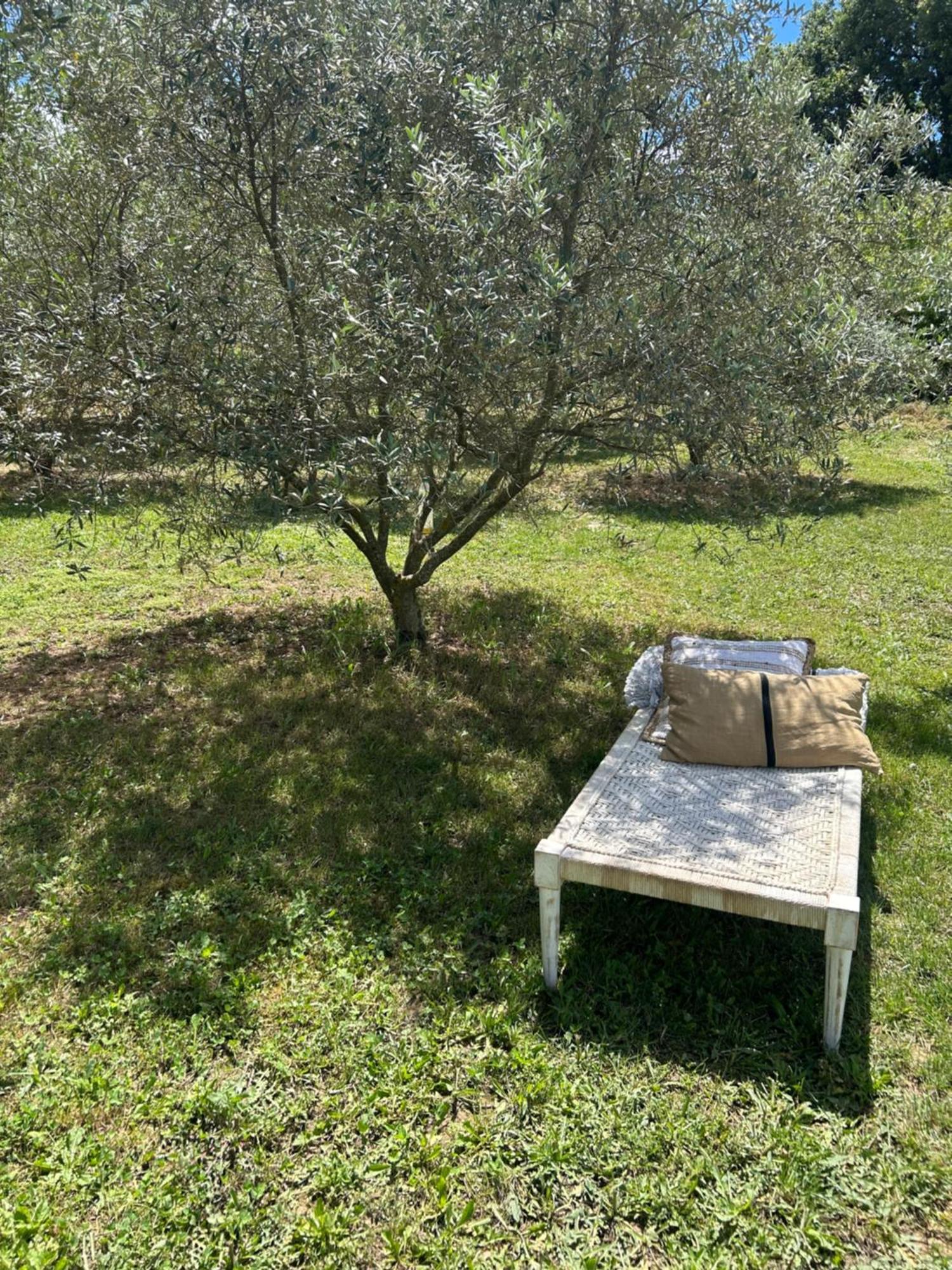 Sous Les Etoiles En Provence, Gite Les Grands Chenes Lurs Eksteriør billede